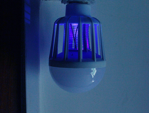 LED Anti-moustique